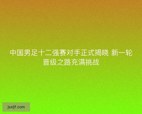 中国男足十二强赛对手正式揭晓 新一轮晋级之路充满挑战 中国男足十二强赛对手正式揭晓 新一轮晋级之路充满挑战